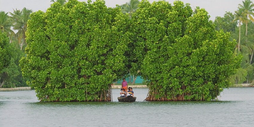 One of the most famous islands near Trivandrum