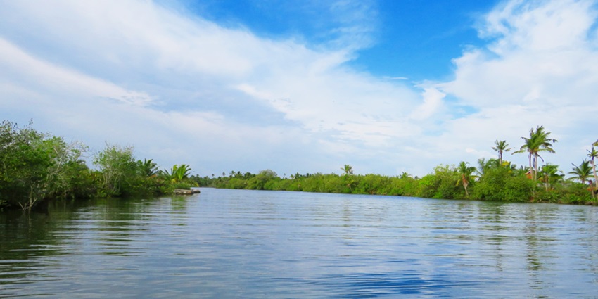 Munroe Island is a hidden gem in the backwaters, consisting of a group of 8 islands.