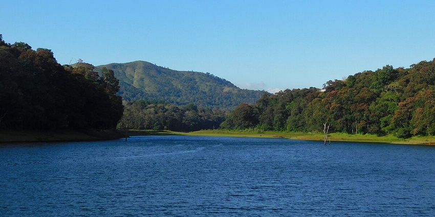 Murikkady is a real heaven for agricultural tourists due to its spices , coffee and vanilla plantations.