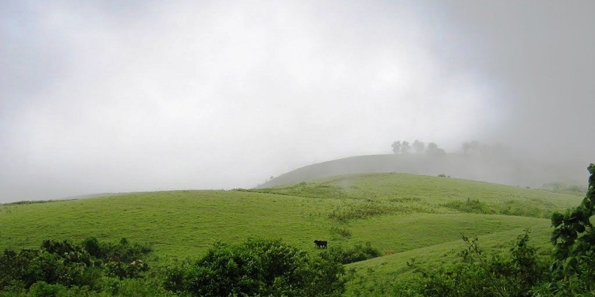 The lush landscapes of Murikkady are among the best places to visit in Kumily, Kerala.