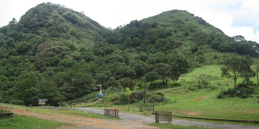 Green lush MUrugan mala near the tent camping site in Vagamon