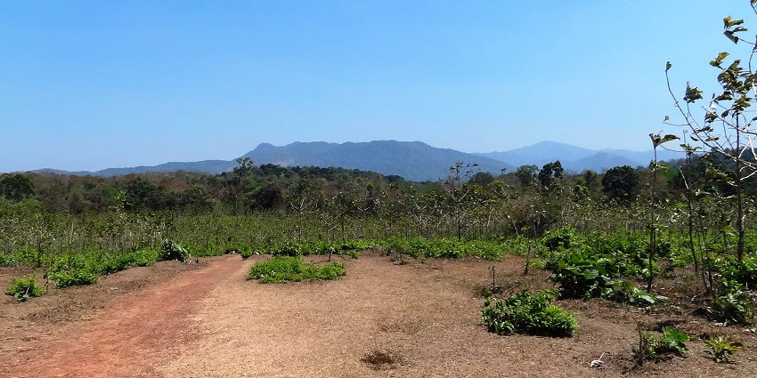 Mylamoodu serene village landscapes and vibrant culture - haunted places in Kerala
