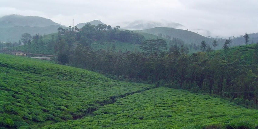 One of the best places to visit in Thodupuzha, this pavilion is a perfect retreat for viewing hills and valleys.
