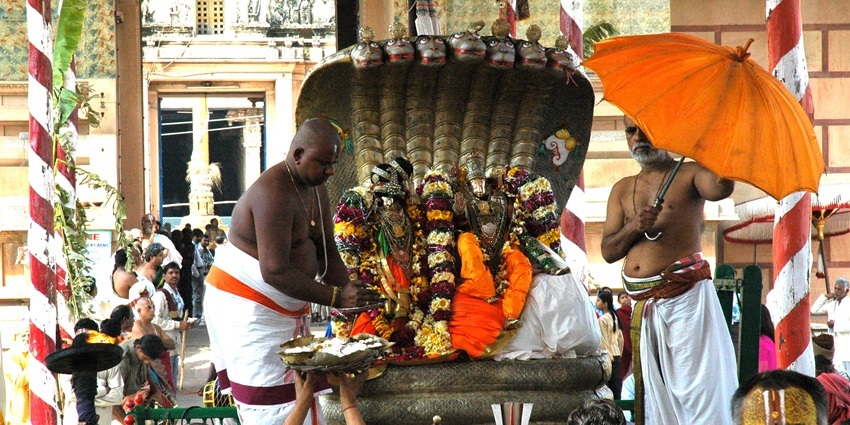 A colourful festival procession featuring a snake deity with people worshipping.