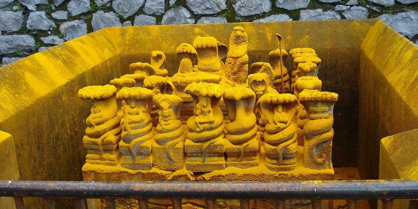 Nagarajav Shrine is dedicated to the snake gods in Nagampoozhi Mana in Kerala