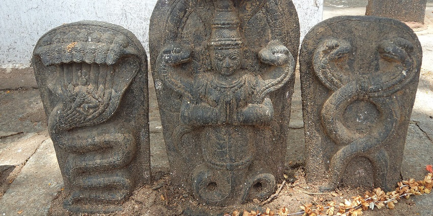 Pullikkal Nagayakshi Kavu Vishwanagayakshi Temple is one of the top Kerala Nagaraja temples