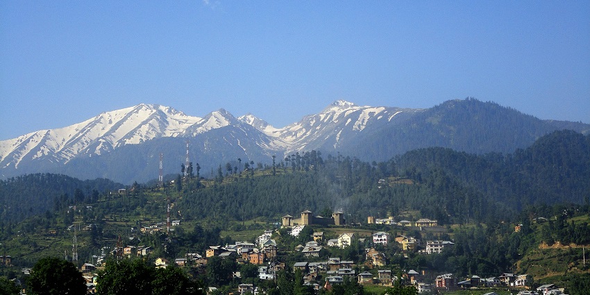 Wide valley view showing grassy plains, pine trees, and distant hills under a clear blue sky