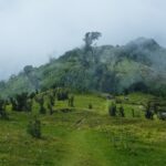 An image showing the lush green path to the National Park, a treat for nature lovers.