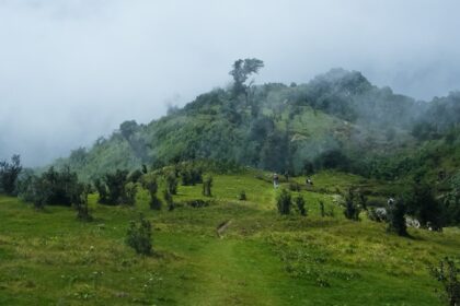 An image showing the lush green path to the National Park, a treat for nature lovers.