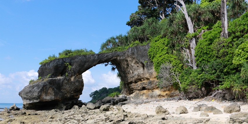 Image of natural coral bridge in the Neil Islands, Andaman - places to visit near Laxmanpur beach