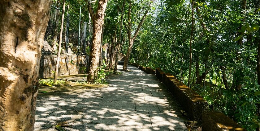 Sit back and relax in the refreshing vibes of this nature park in Kaduthuruthy, Kerala.