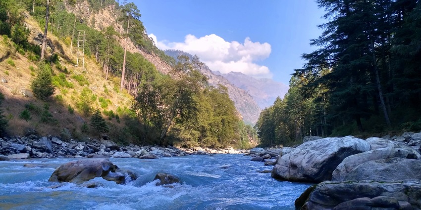 Image of a river in Kasol surrounded by lush green trees under clear blue sky