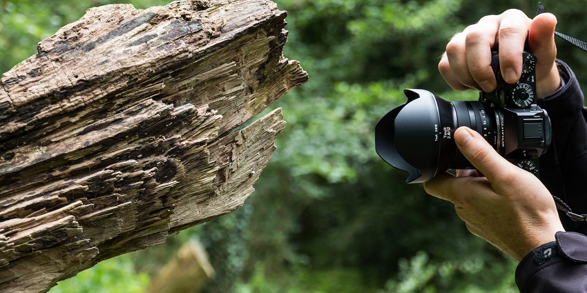 Nature photography capturing the beauty of landscapes, wildlife, and natural phenomena.
