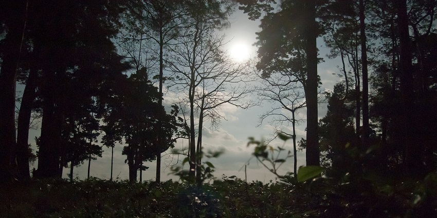 Full moon night view on Neil Island, one of the things to see in Havelock at night