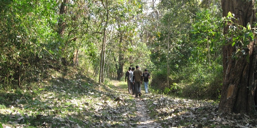 Enjoy the adventurous treks in the beautiful landscapes of Periyar National Park.