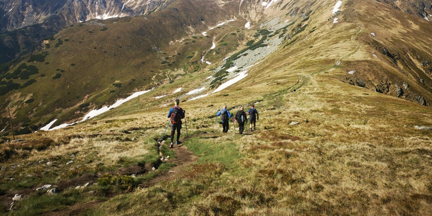 A view of people indulging in nature walks amidst the lush green and rustic path.