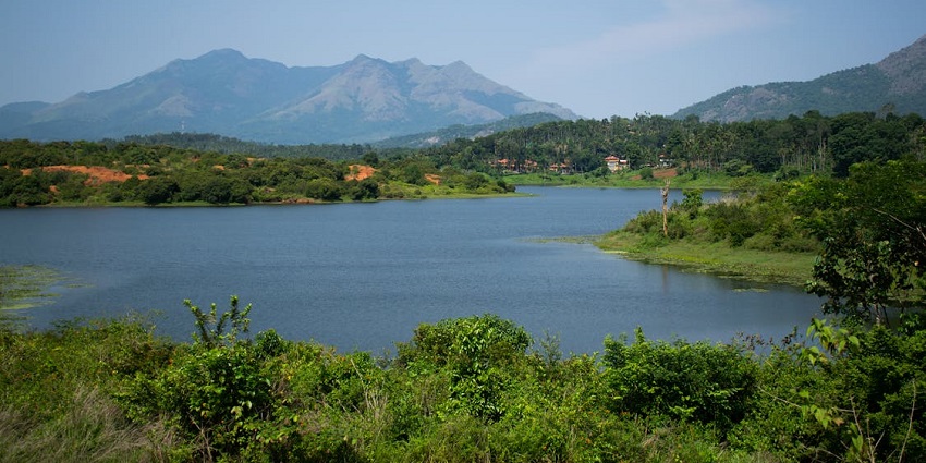 Strolls in the forest near Cheeyappara Waterfalls