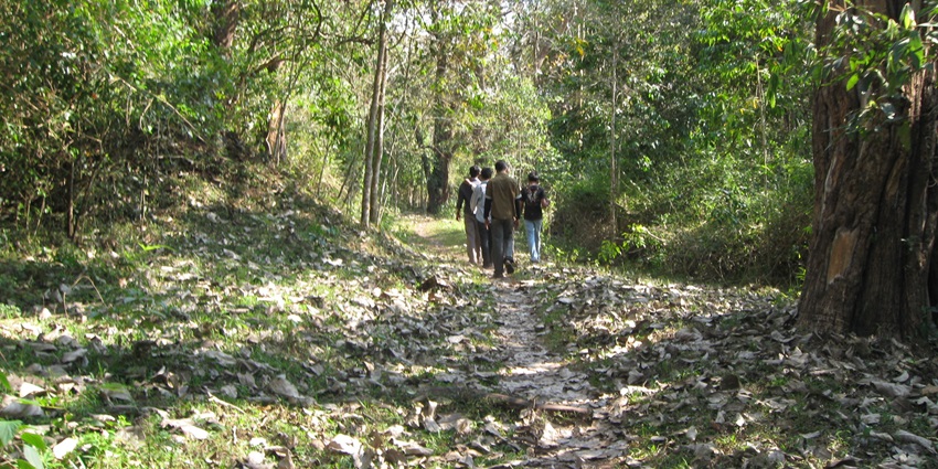 Enjoy sightseeing and nature walks while navigating the national parks of Idukki.