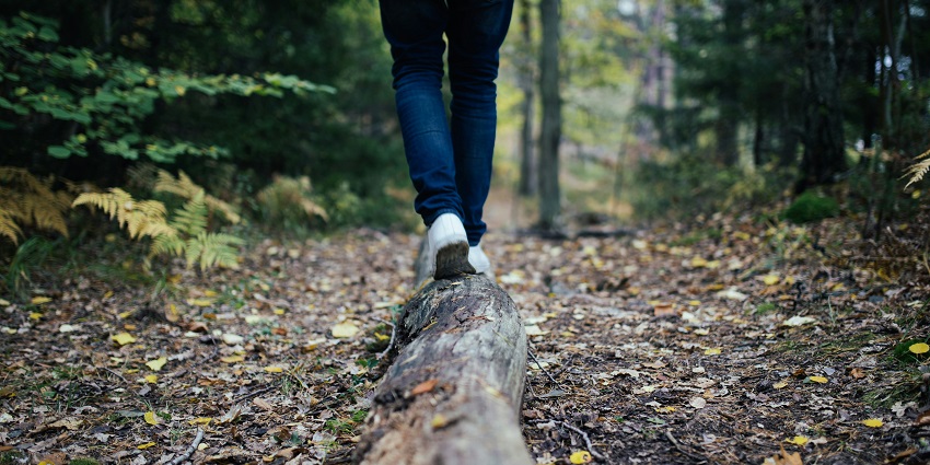 A stunning view of a lush green forest where you can take tranquil nature walks.