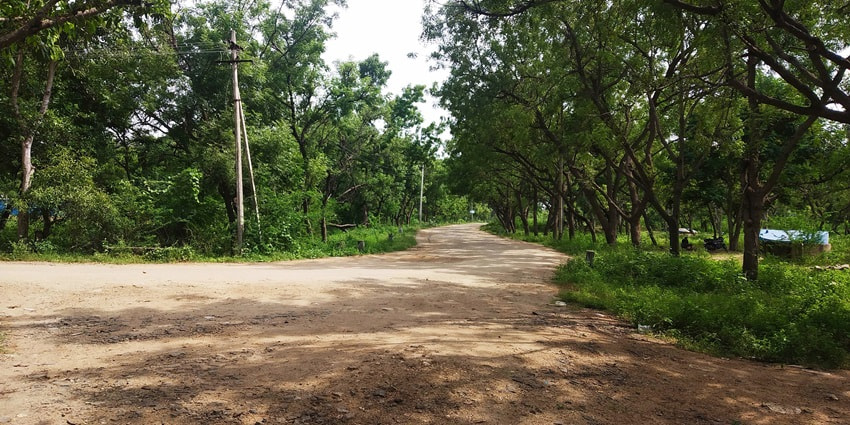 Nature walks provide a sense of tranquillity, solace and picturesque scenes in an enticing manner.