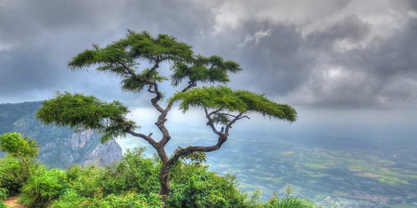 This viewpoint is a spectacular spot from where the Western Ghats are completely visible.
