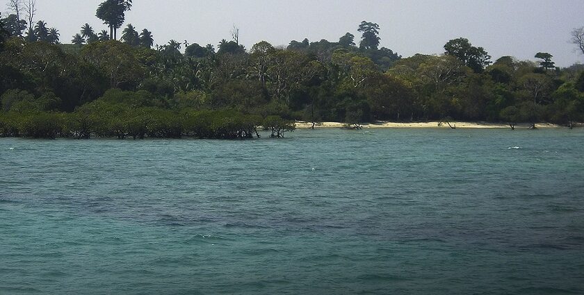 Neil Island is a gorgeous island of Andaman and belongs to the Ritchie's Archipelago.