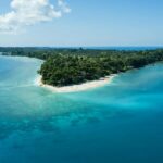 Sandy beach with turquoise waters, lush green and tranquil atmosphere under clear sky