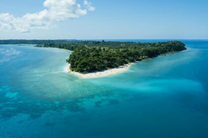 Sandy beach with turquoise waters, lush green and tranquil atmosphere under clear sky