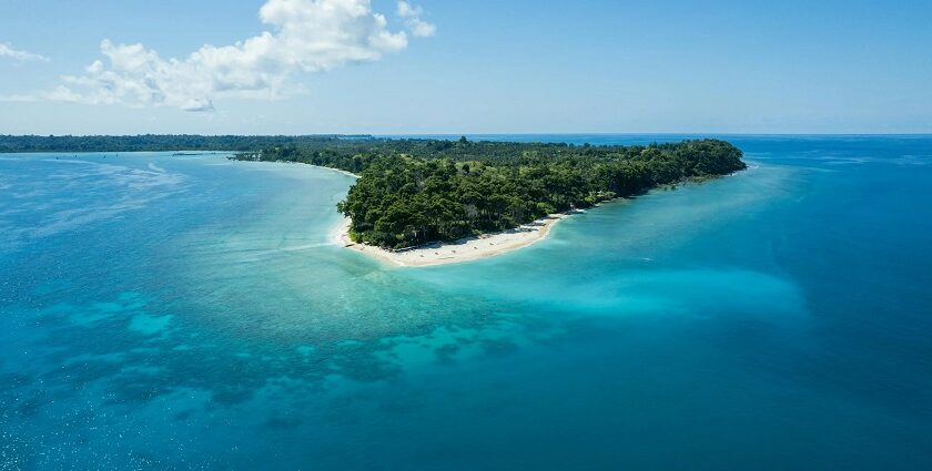 Sandy beach with turquoise waters, lush green and tranquil atmosphere under clear sky