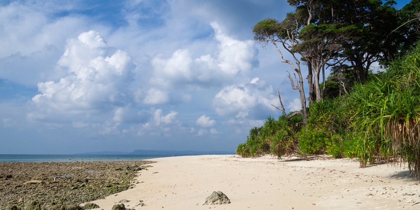 A front view of Neil Island on Havelock surrounded by green trees, sand and beach.
