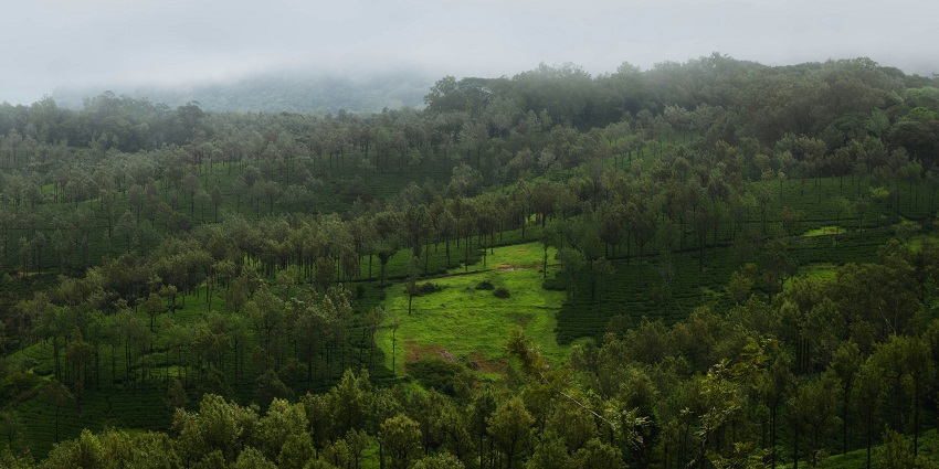 A stunning landscape of Nelliyampathy, one of the best hill stations near Guruvayur.