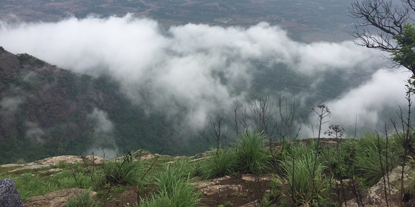 Misty hills of Nelliyampathy with lush green tea and orange plantations under cloudy sky