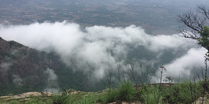 Explore the stunning Nelliyampathy caves in Palaghat, one of the caves in Kerala, India.