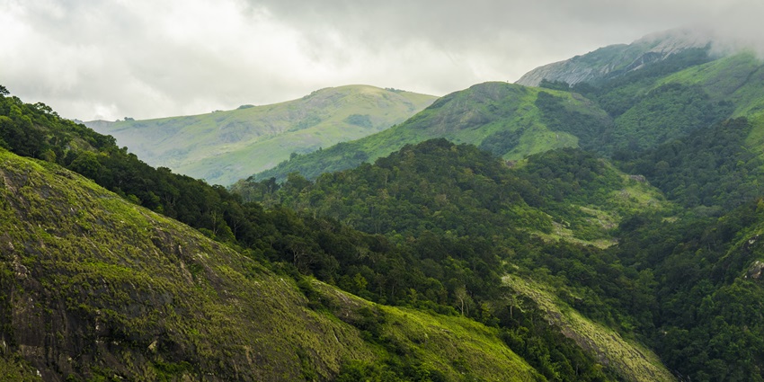 A picture of lush green mountains in Nelliyampathy region of Kerala