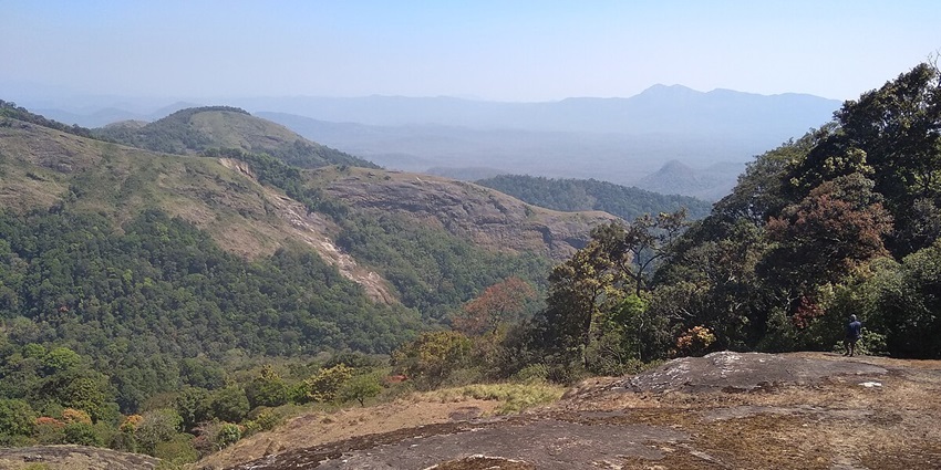 Nelliyampathy Hills is one of the serene places to visit in Palakkad to witness greenery.