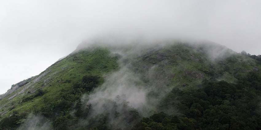 Trek to majestic hills of Nelliuampathy – One of the best things to do in Palakkad