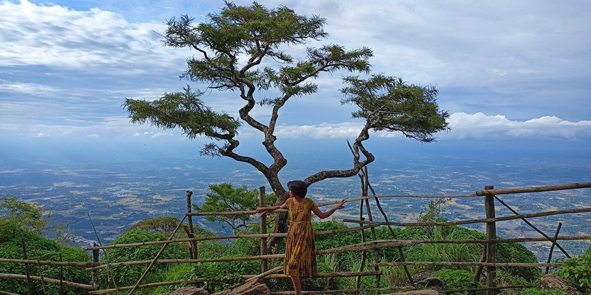 The signature tree at the summit is one of the best places to visit in Kerala in August