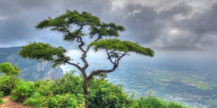 A stunning view of the Nelliyampathy Hills amidst dense and dark clouds from a cliff.