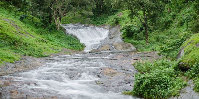 Explore the mesmerising Nelliyampathy Hills, which is one of the hill stations near Kozhikode.