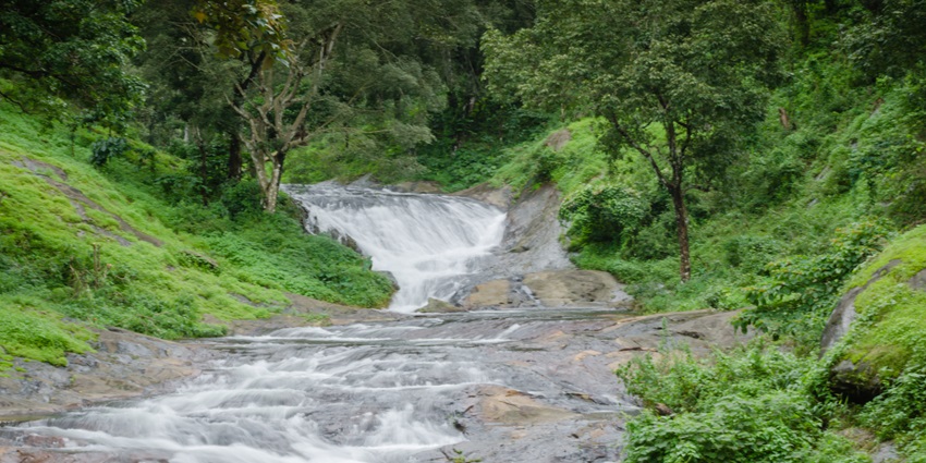 A view of the Nelliyampathy Hills, a natural hotspot near Meenvallam Waterfalls.