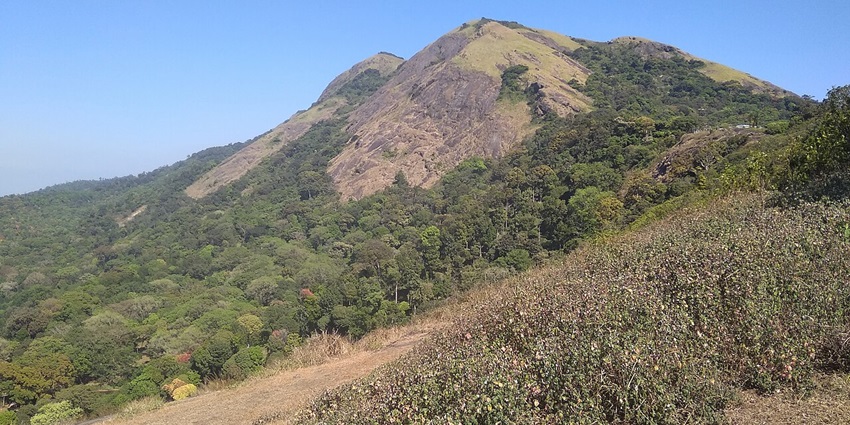 Lush tea gardens and winding roads define Nelliyampathy Hills, a cool retreat nestled in Kerala’s Western Ghats.