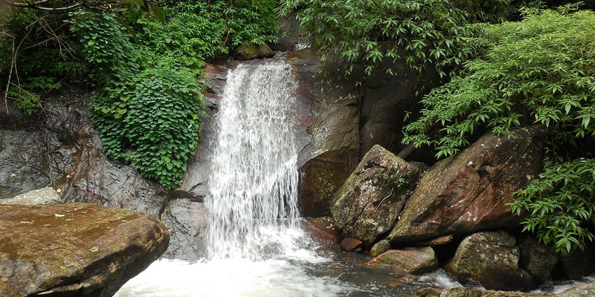 Experience the serene ambience of Nelliyampathy cascade which is located in Kerala.