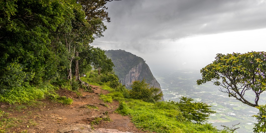 Narrow pathways in the dense forests of Nelliyampathy hills- an ideal escape to nature