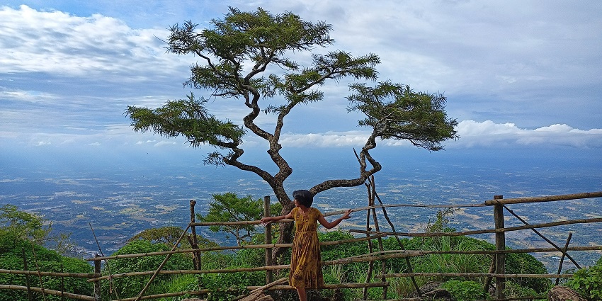 picturesque views of Nelliyampathy from the top of the hill from the iconic Tree