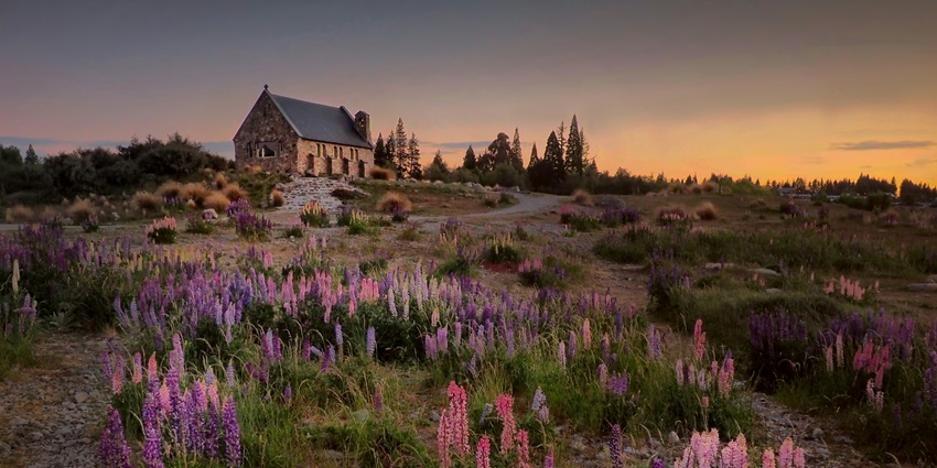 Enjoy the weather of New Zealand, one of the places to visit in the world in November