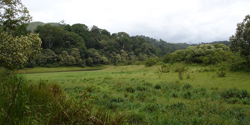 This wildlife sanctuary is the home to a large number of flora and fauna with guided tours and walks available for the tourists.