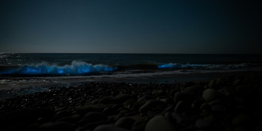 Night Kayaking with Bioluminescence is one of the best things to do in Adaman in December.