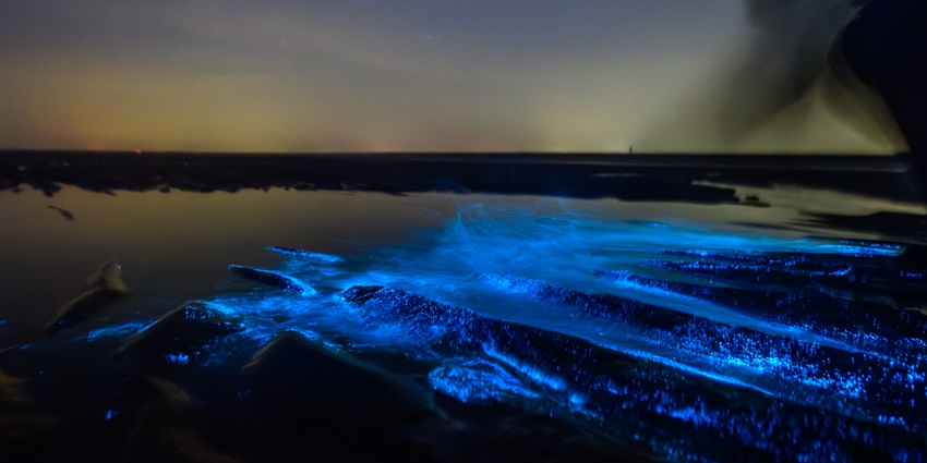 Night kayaking with Bioluminescence is one of the unique activities to enjoy Andaman and Nicobar nightlife.