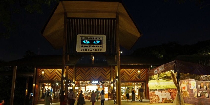 Night Safari is one of the most interesting places to visit in Singapore with family.