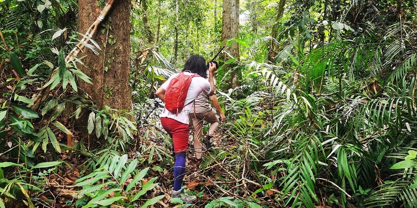 Night trekking is one of the best things to do in Andaman and Nicobar at night.